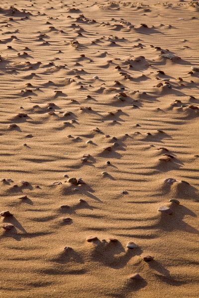 The white sand have footprints during the day
